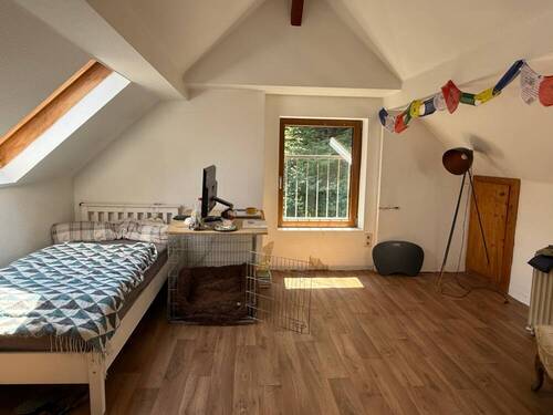 Zimmer DG - 