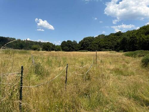Bild 4 - Einfamilienhaus mit 472,70 m² in Runkel / Schadeck zum Kaufen