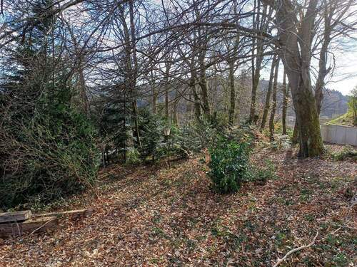 der kleine Wald - Grundstück zum Kaufen in Wilhelmsfeld