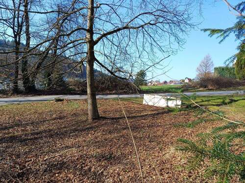 Blick nach Süd-Westen - Grundstück in Wilhelmsfeld