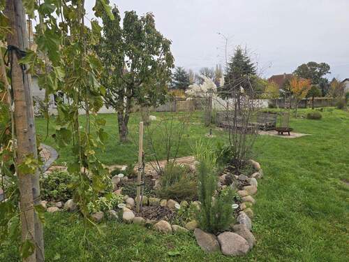 Bild 3 - 4 Zimmer Einfamilienhaus in Wiedemar