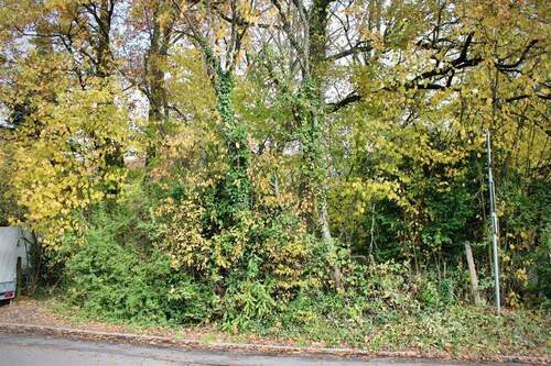 Außenansicht - Grundstück zum Kaufen in Neckargemünd