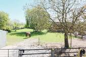 Weide - 