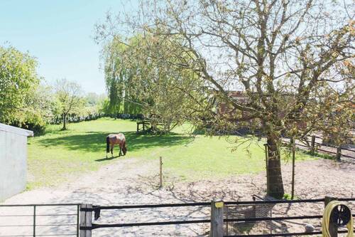 Weide - 