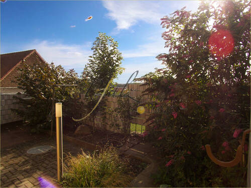 Garten unten - 
