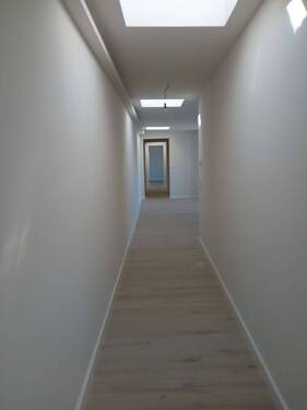 20250903_114639.jpg - 