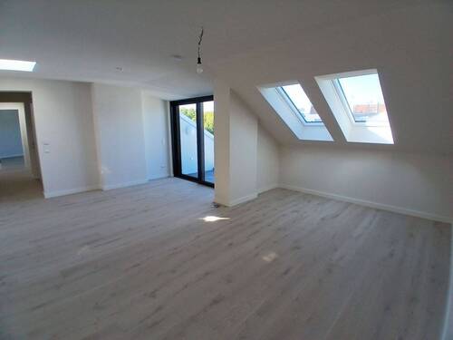 20250903_114650.jpg - 