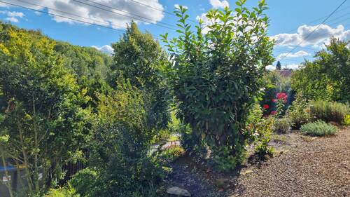 Garten - Einfamilienhaus mit 90,00 m&sup2; in Kurort Hartha zum Kaufen