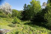 Natur vor der Haustüre - 