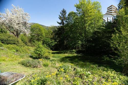 Natur vor der Haustüre - 