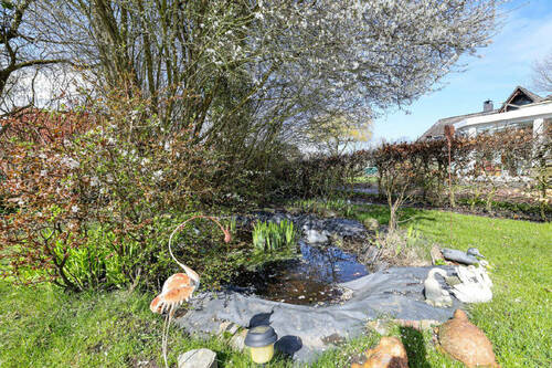 ...Teich - 