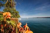 Bodensee - 