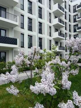 1ZW15 - Etagenwohnung mit 35,60 m² in Berlin zur Miete