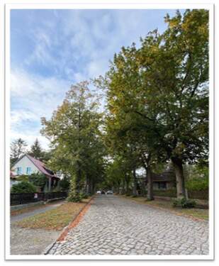 Historische Wohnstraße - 