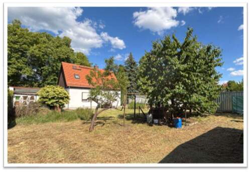 Blick aus hinterem Garten - 