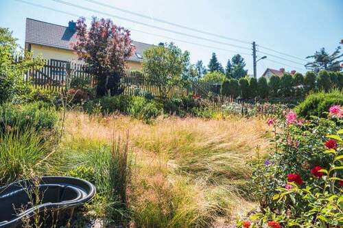 DSC01728 - Grundstück in Chemnitz