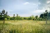 Umgebung - 