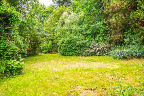 DSC04877 - Grundstück zum Kaufen in Limbach-Oberfrohna