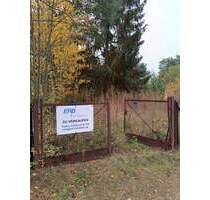 Zeesen als OT von Königs Wusterhausen - großes Grundstück