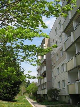 Bild 1 - Top renovierte 3-Raum-Wohnung im Neubau