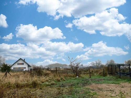 Freier Blick ins Grüne - 