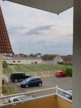 Aussicht von WZ.jpg - 4 Zimmer Etagenwohnung zur Miete in Maikammer