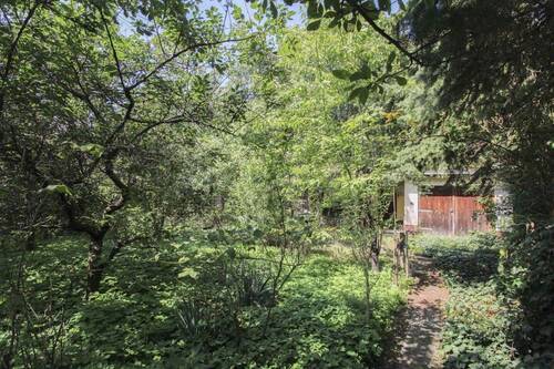 Weg auf dem Grundstück - 