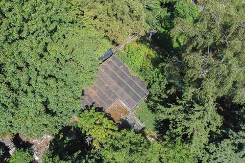 Dach von der Laube - 