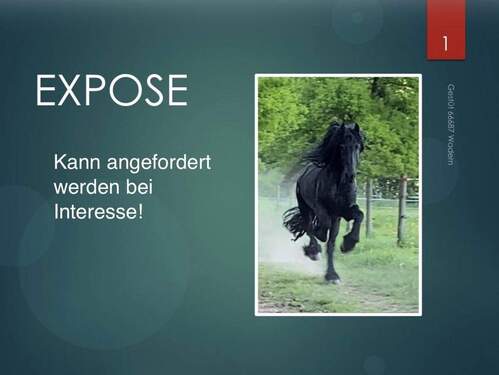 weiteres Expose vorhanden - 