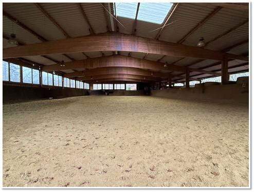 Reithalle in Holzbau - Einfamilienhaus mit 193,00 m&sup2; in Wadern zum Kaufen