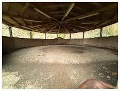 Longierzirkel am Stallgebäude - 