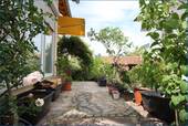 Garten Eingang - 6 Zimmer Mehrfamilienhaus, Wohnhaus zum Kaufen in Moos