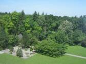 Aussicht in den Park - 