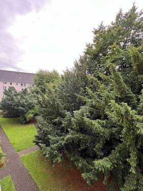 Aussicht Innenhof - 