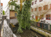 Umgebung - 