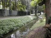 Schwalm - 