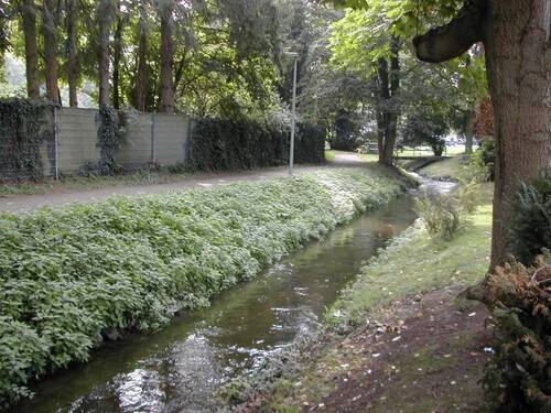Schwalm - 