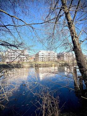 IMG_3626 - 