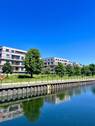 IMG_2864 - 