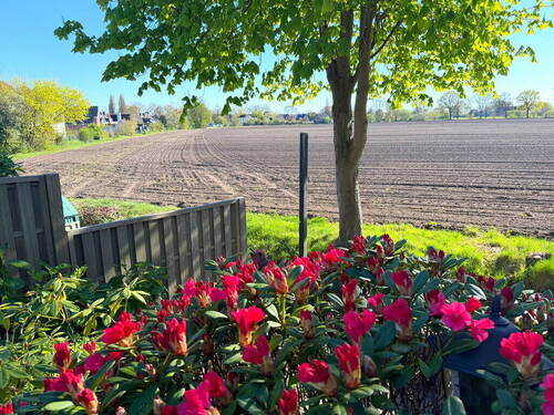 Reihenmittelhaus am Feldrand - Wohnen zwischen Stadt und Natur - familienfreundliche Lage am Stadtrand von Elmshorn