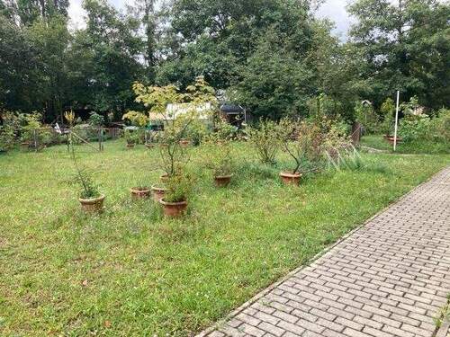 Garten zur gemeinschaftlichen Nutzung - 