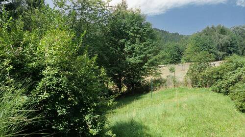 Grundstück - Einfamilienhaus mit 100,00 m&sup2; in Neustadt zum Kaufen