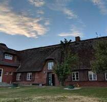 Großzügiges nordfriesisches Reetdachhaus auf der Hallig Langeneß