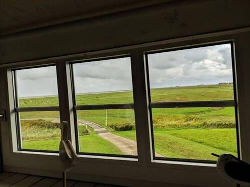 Ausblick auf die Hallig - 