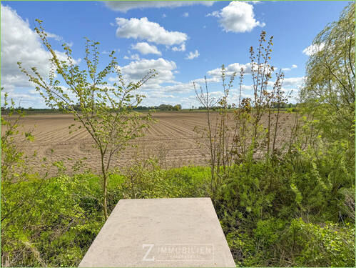 Blick über den Feldern Eiderstedts - 