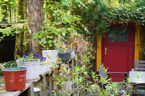 013_P-13922_Wochenendhaus_Wochenendgrundstueck_Flaeming_Coswig_Laupi.jpg - 