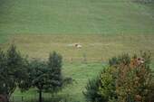 Blick vom Balkon DG - 