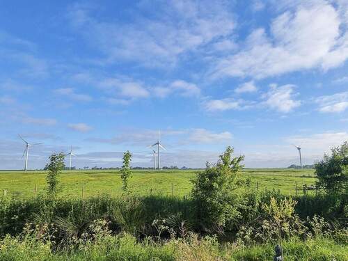 Blick über die Felder - 