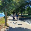 Rheinuferweg - 