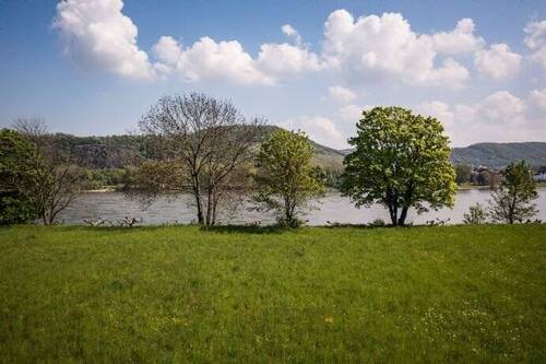 Blick auf den Rhein - 